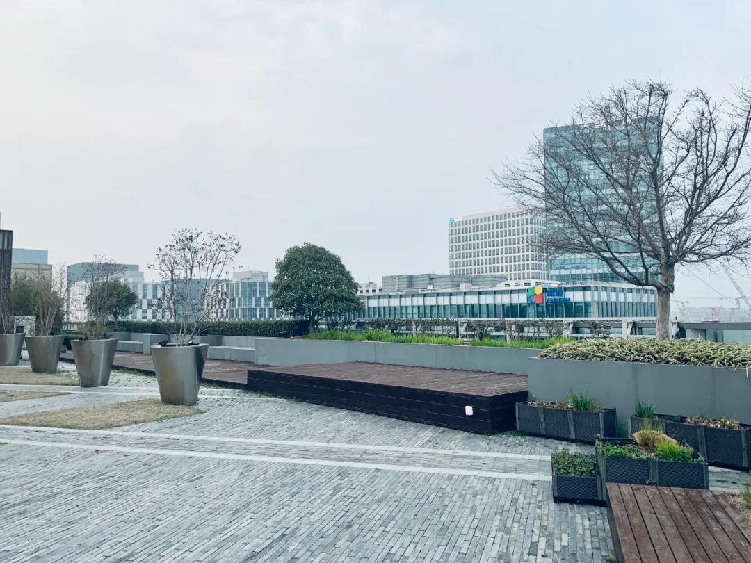 實(shí)習(xí)內(nèi)外 · AECOM｜探訪上?；▓@文化實(shí)踐，從屋頂花園更新到社區(qū)花園節(jié)9.jpg