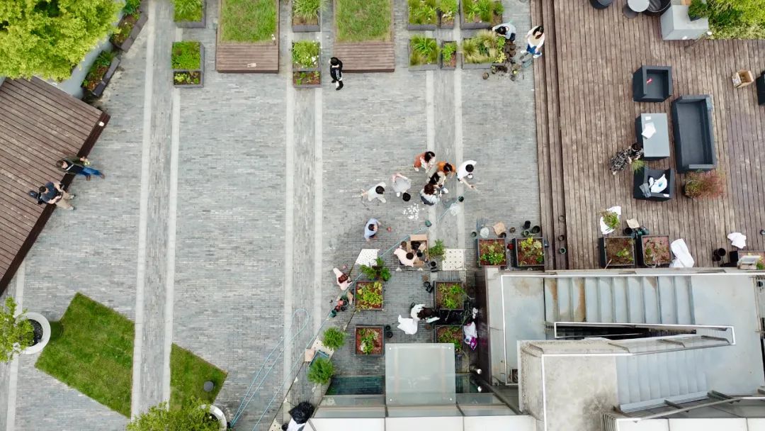 實(shí)習(xí)內(nèi)外 · AECOM｜探訪上?；▓@文化實(shí)踐，從屋頂花園更新到社區(qū)花園節(jié)10.jpg