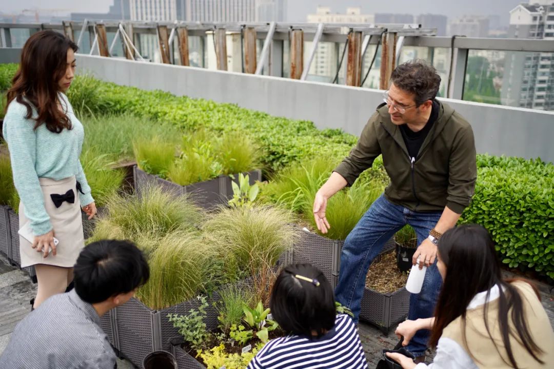 實(shí)習(xí)內(nèi)外 · AECOM｜探訪上海花園文化實(shí)踐，從屋頂花園更新到社區(qū)花園節(jié)11.jpg