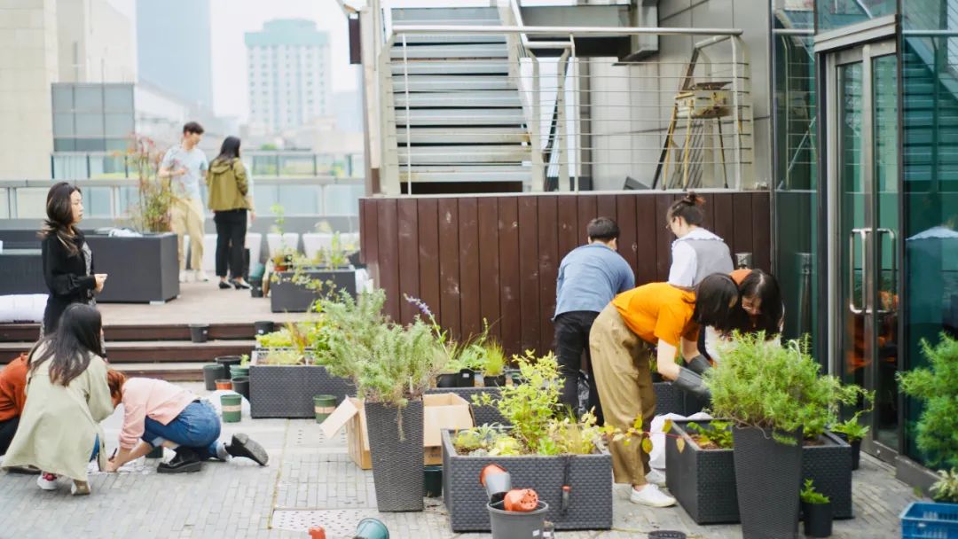 實(shí)習(xí)內(nèi)外 · AECOM｜探訪上海花園文化實(shí)踐，從屋頂花園更新到社區(qū)花園節(jié)12.jpg