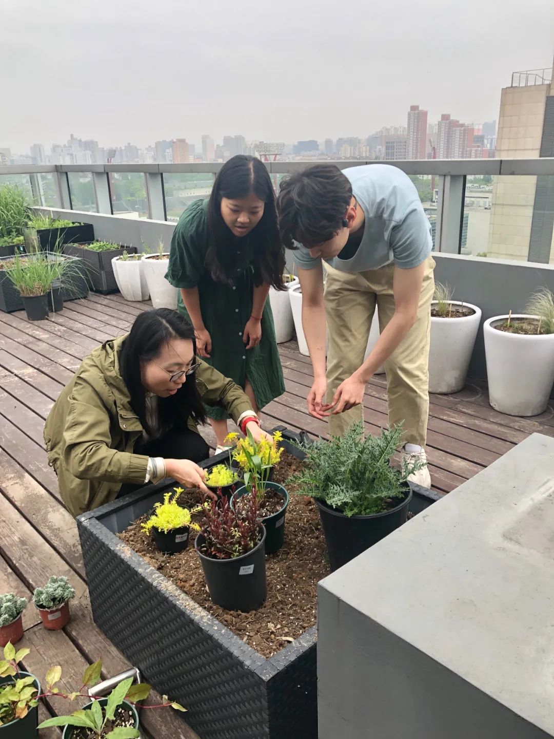 實(shí)習(xí)內(nèi)外 · AECOM｜探訪上?；▓@文化實(shí)踐，從屋頂花園更新到社區(qū)花園節(jié)14.jpg