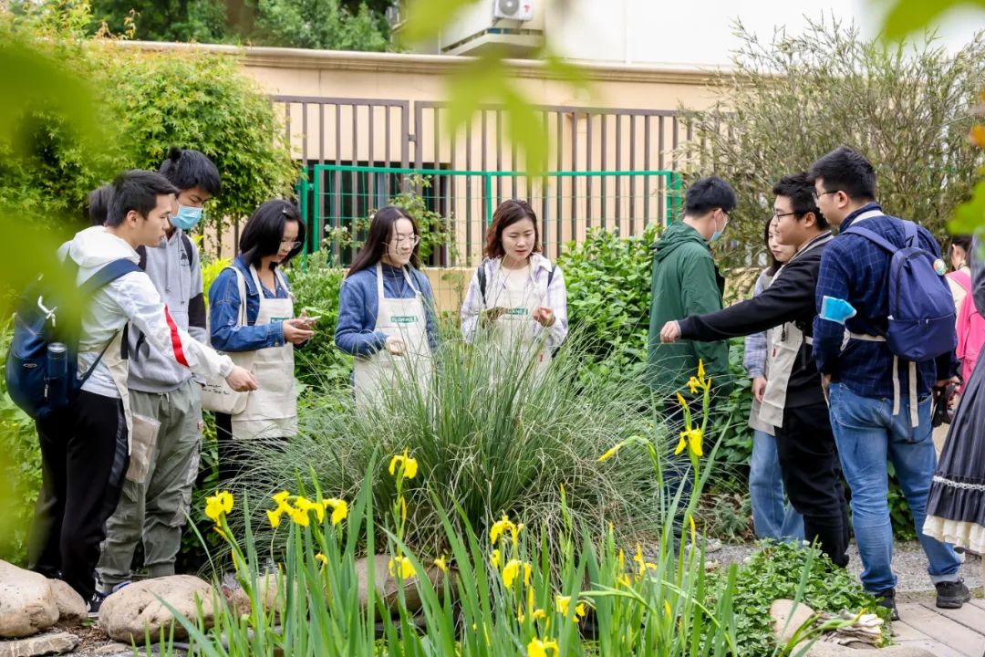 實(shí)習(xí)內(nèi)外 · AECOM｜探訪上海花園文化實(shí)踐，從屋頂花園更新到社區(qū)花園節(jié)21.jpg