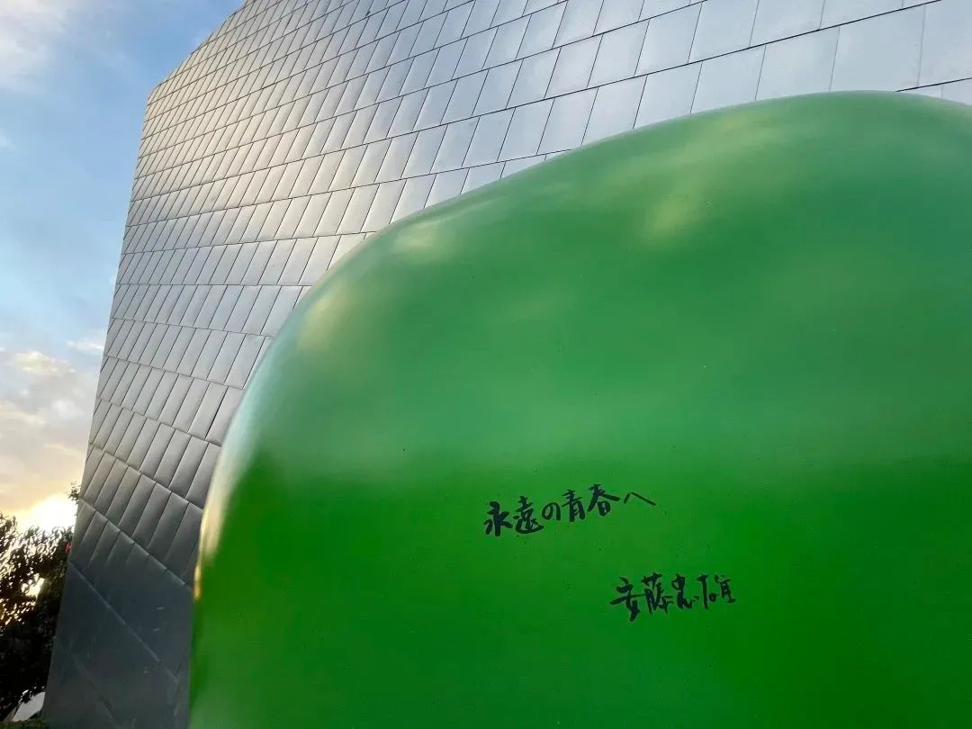 拋去流量，安藤的“青春”，是一種心境27.jpg