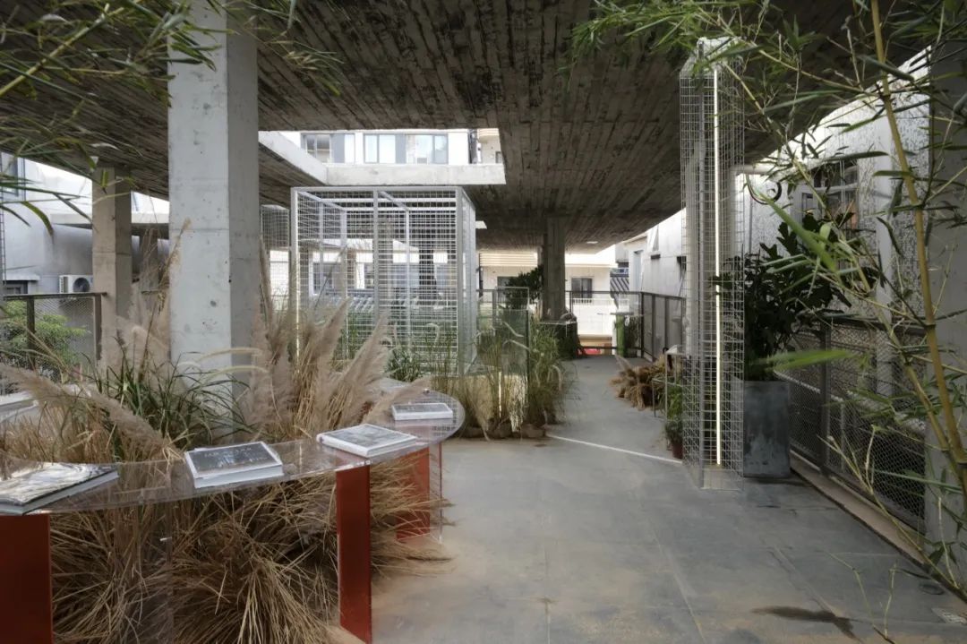 深圳·村中村  跡·建筑事務所（TAO） (19).jpg
