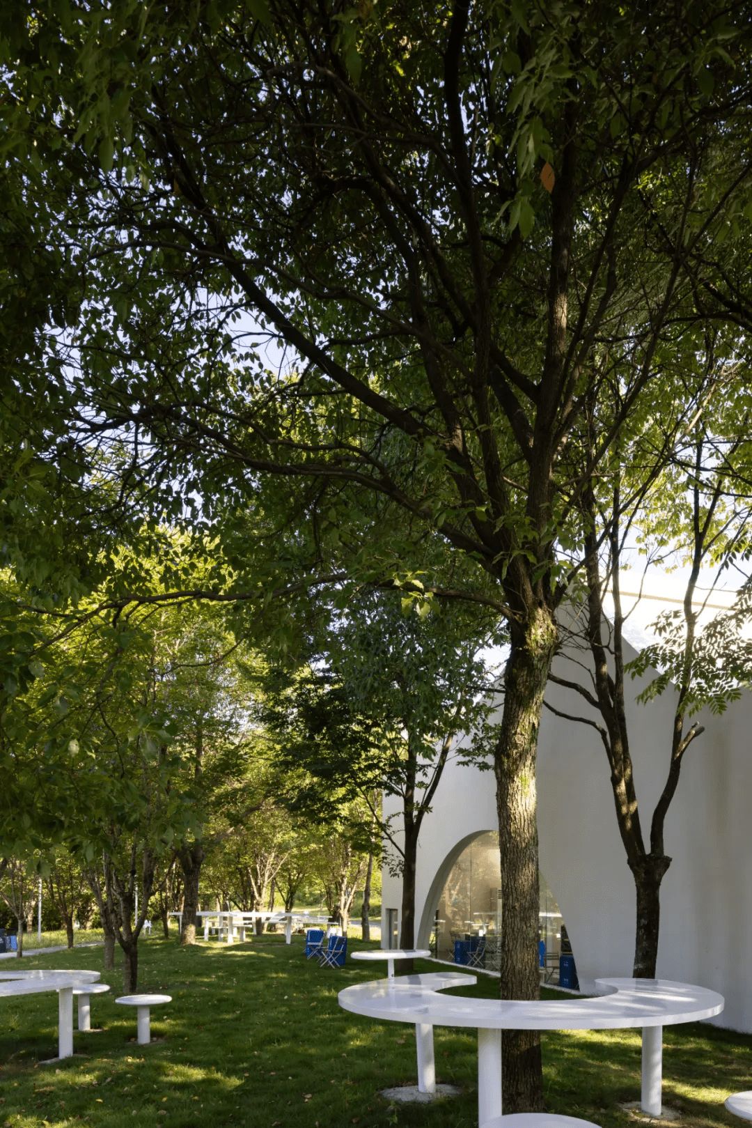 1759116446929206NvtO.jpg