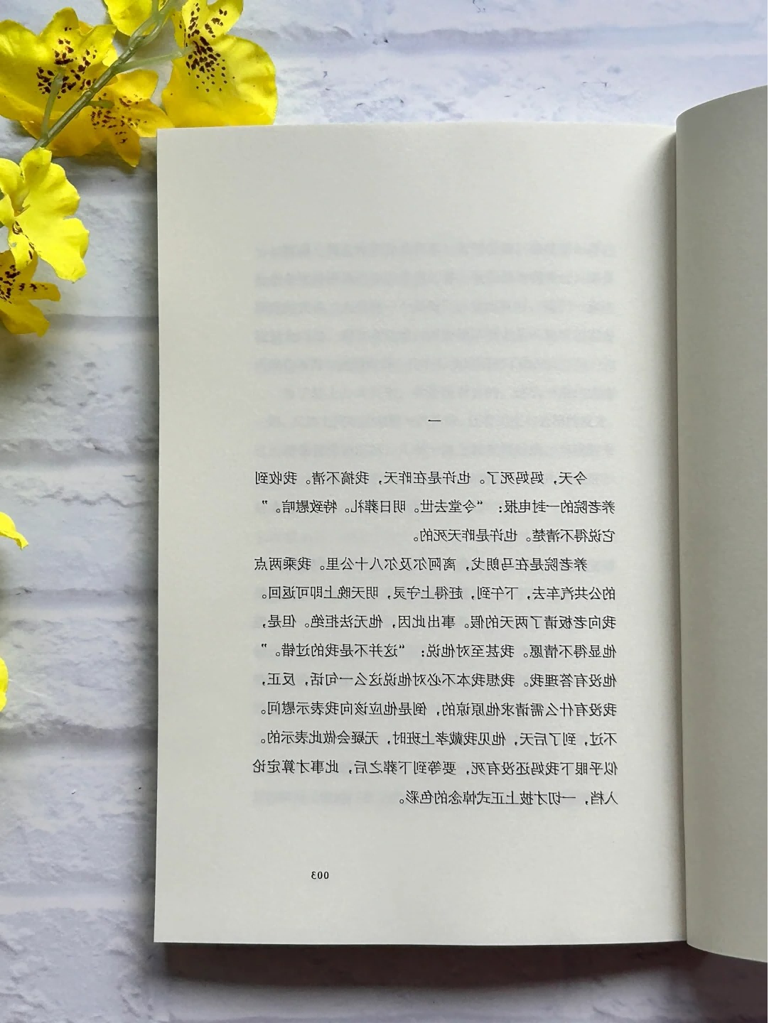 圖片22.png