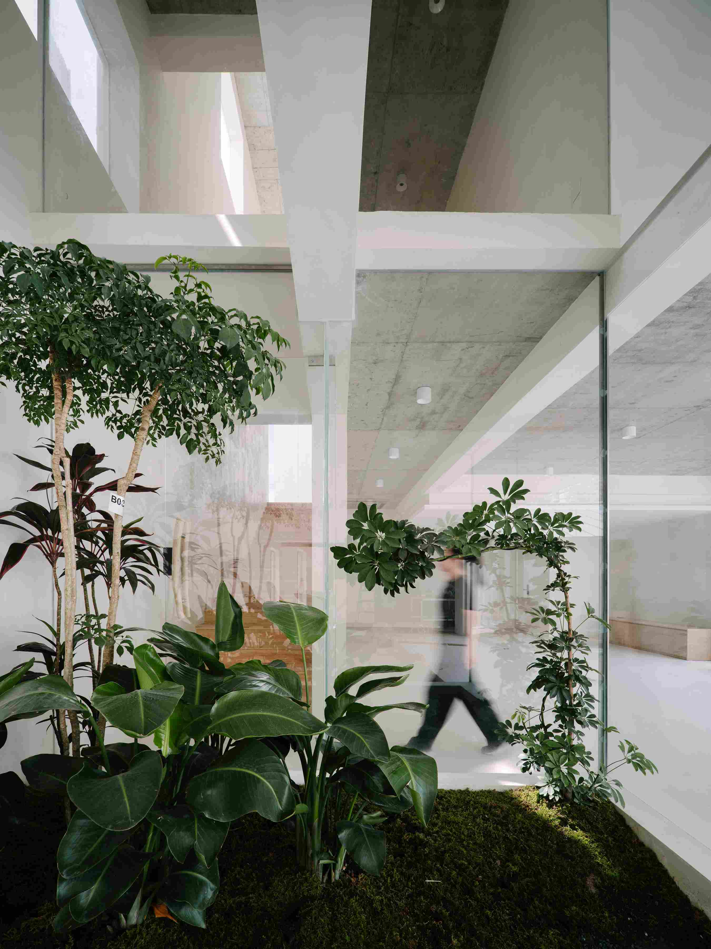 21_Semi-Outdoor Courtyard in the Interstitial Space 利用原本兩棟建筑間的間隙做了半戶外庭院_6.jpg