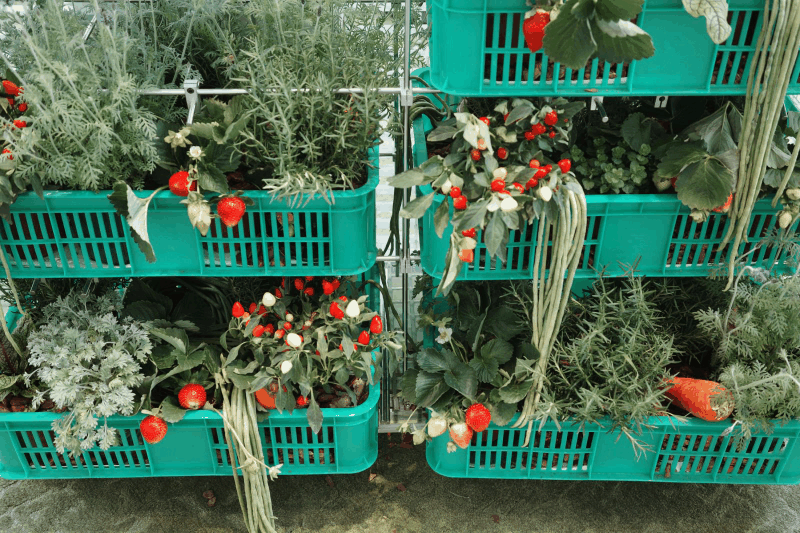 Pi7_Gif (9).gif