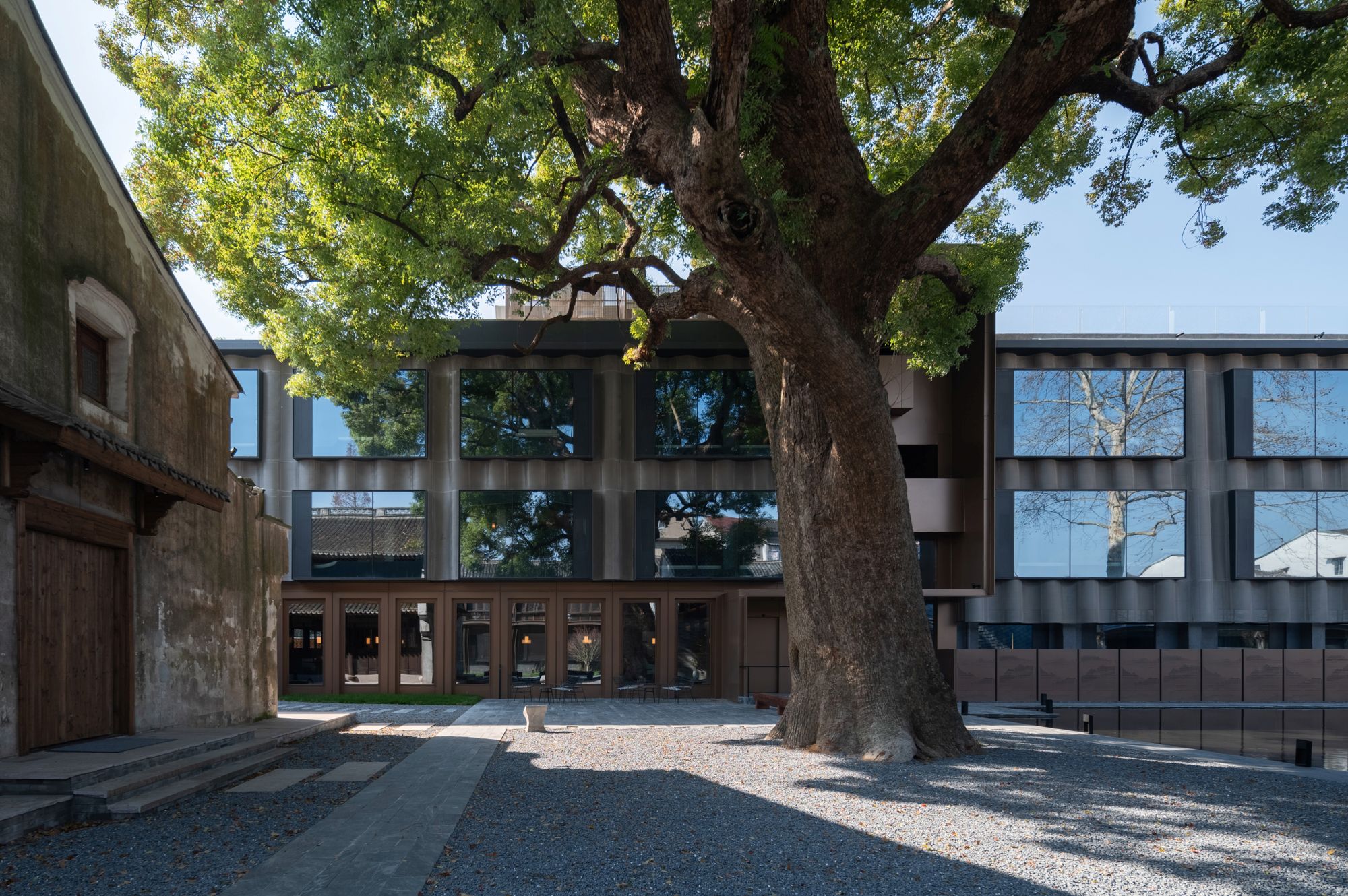 20_ 香樟庭院 Camphor Courtyard ?白噪音圖片社 whitenoisephotos.jpg